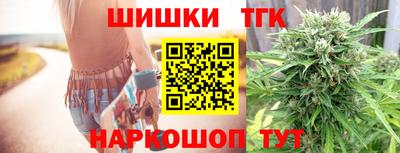 гашик Тулун