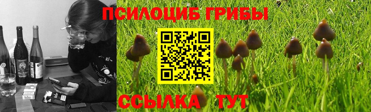 Псилоцибиновые грибы Magic Shrooms  Галлюциногенные грибы Psilocybine cubensis  Красноармейск  Вход с VPN 