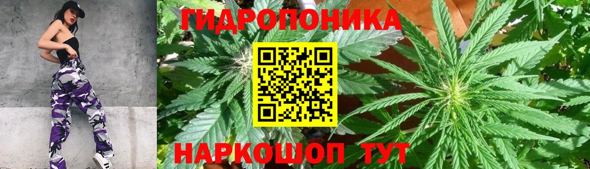 Конопля гибрид  Вход с VPN  Канабис VHQ  Красноармейск 